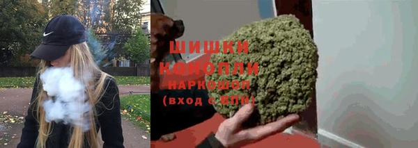 spice Зеленодольск