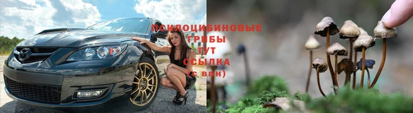 Альфа ПВП Зерноград